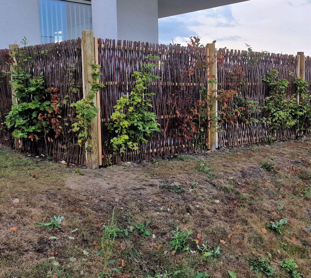 pilefletopsætning_hegn pilefletopsætning_hegn