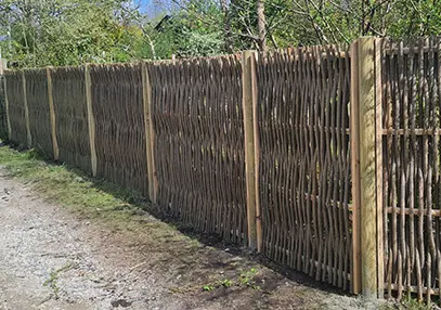 OpsÃ¦tning af pileflethegn